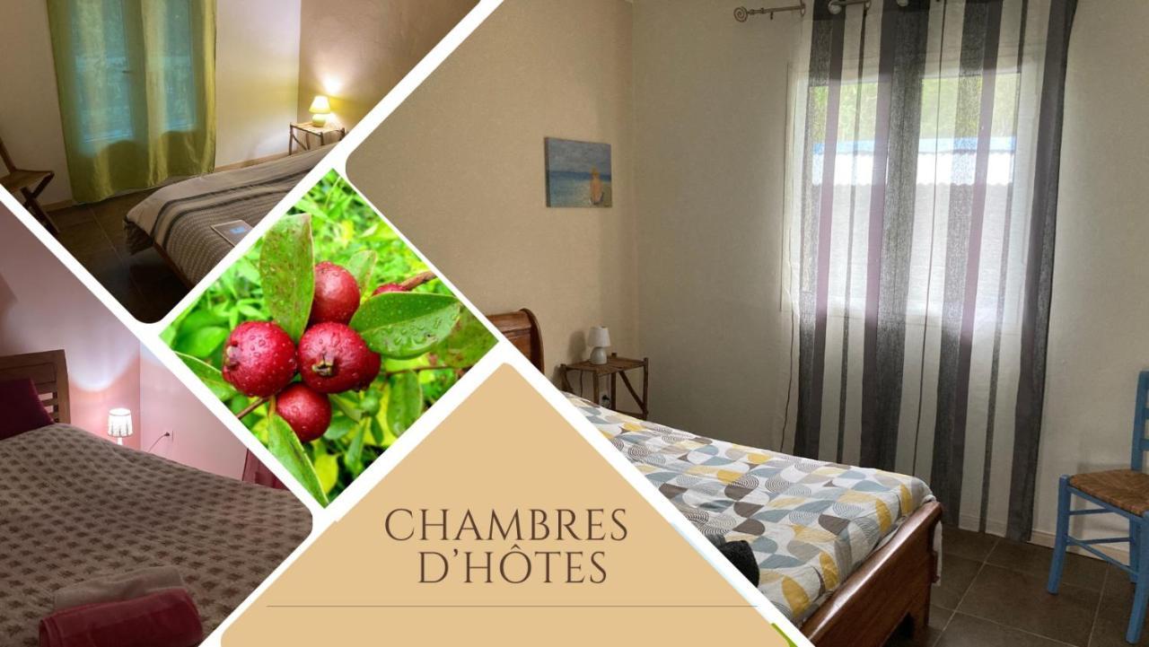 Bed and Breakfast Au coeur de la Cascade Biberon à La Plaine-des-Palmistes Extérieur photo
